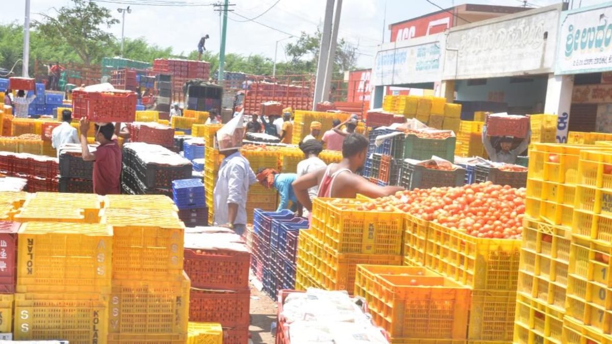 APMC Market Trading